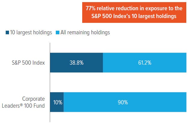 Exhibit 1: Large-cap exposure with less concentration in the biggest stocks