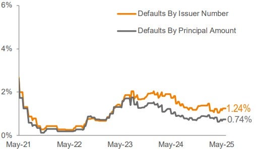 Lagging 12 Month Default Rate 3
