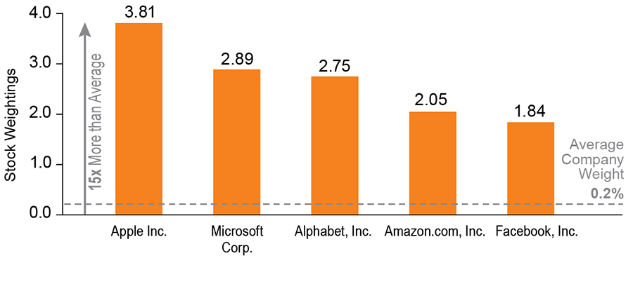 The S&P 500 is Dominated by the Largest Companies