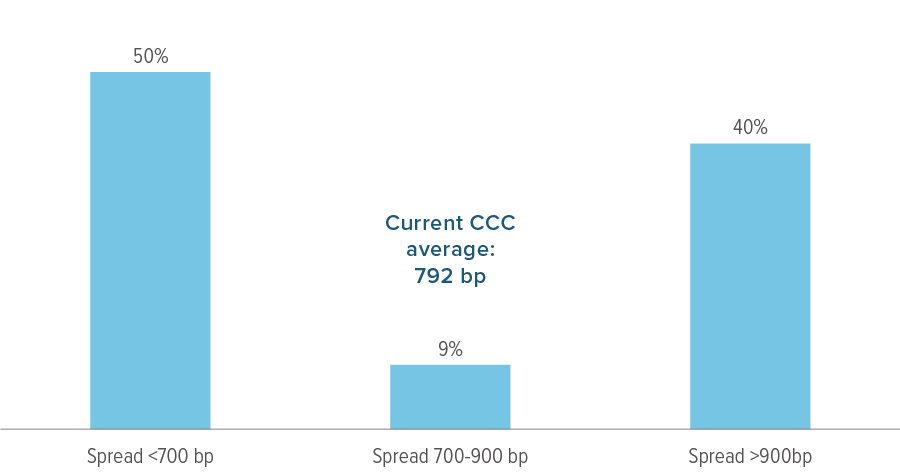 Exhibit 3: The CCC market is widely split