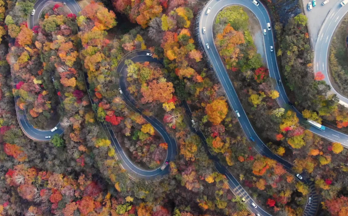 Fall foliage and winding road