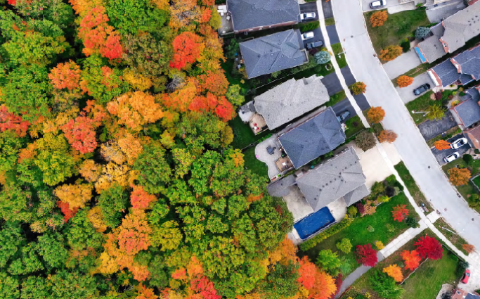 Aerial view of houses
