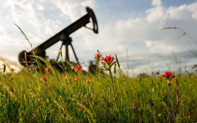 Drilling in the field