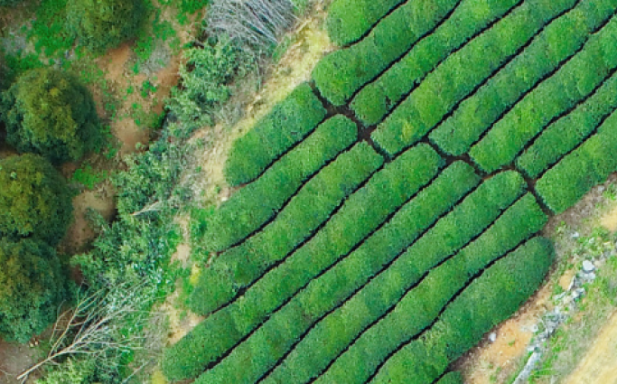 Overlooking field and solar panels
