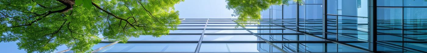 Trees reflecting on building