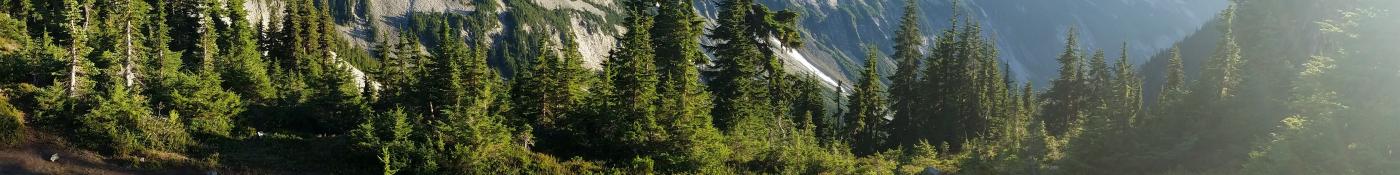 Mountains in the distance