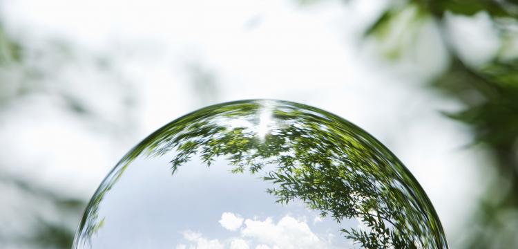 Crystal Ball