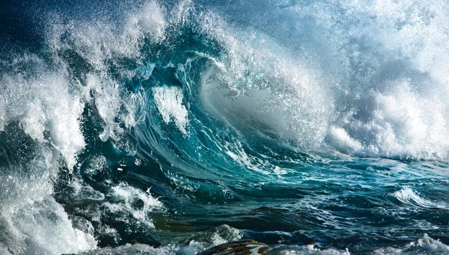 Article: Fixed Income Perspectives: Credit Is Due