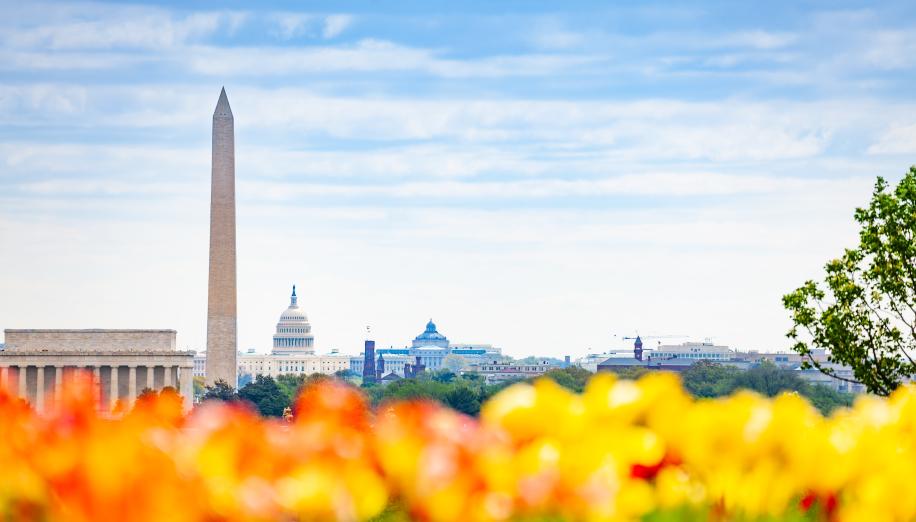 Article: From Oversight to Opportunity: Securitized Credit in a Shifting Policy Landscape