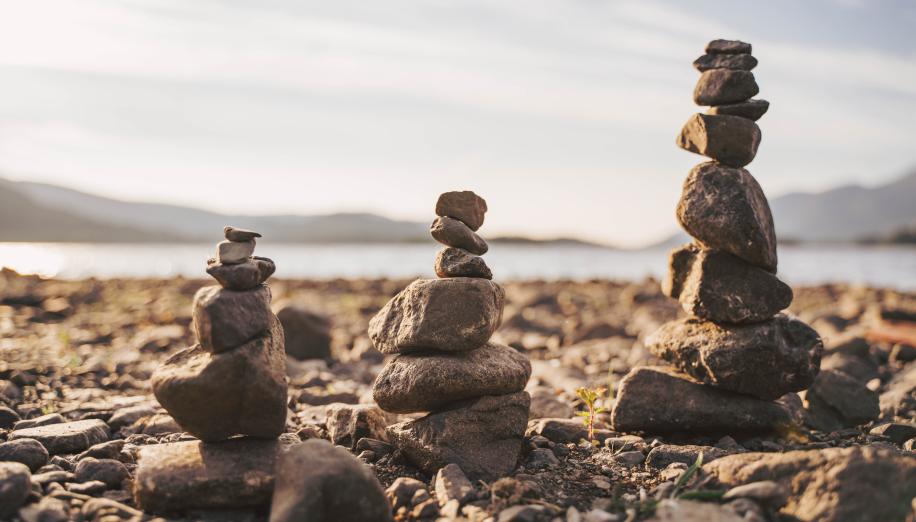 Article: Stability Scarcity: Why Markets Are Paying More for Predictable Cash Flows 