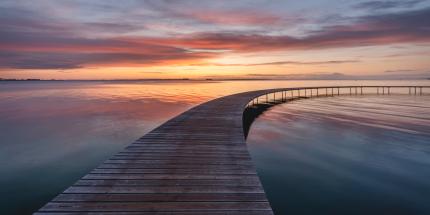 Article: Markets rallied on news about a U.S.-Iran ceasefire