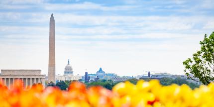 Article: From Oversight to Opportunity: Securitized Credit in a Shifting Policy Landscape