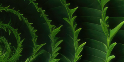 Event: Quarterly Fixed Income Perspectives: Navigating Public and Private Fixed Income 1H 2026