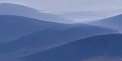 Article: Stocks hit record highs despite historic consumer pessimism while oil prices surged