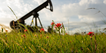 Article: Stocks hit record highs despite historic consumer pessimism while oil prices surged