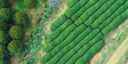 Article: Equities rose and treasury yields fell for the week