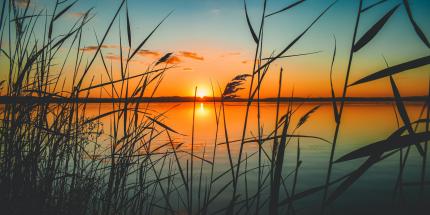 Sunset over a like