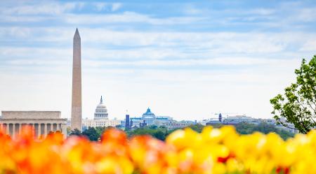 Article: From Oversight to Opportunity: Securitized Credit in a Shifting Policy Landscape