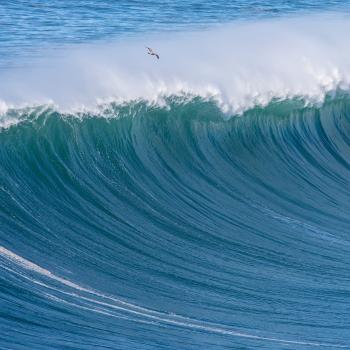 Wave