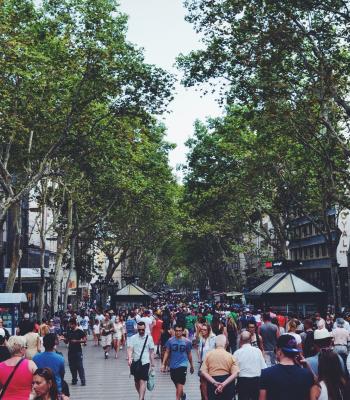 People Walking in Market