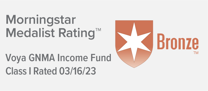 Morningstar Analyst Rating Class I